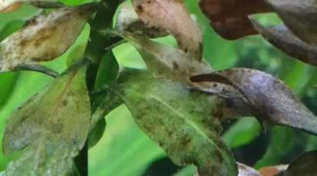 Petit nettoyage fait