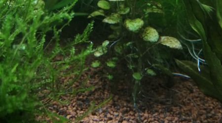 Petit nettoyage fait