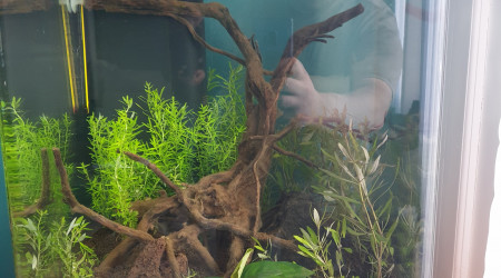 aquarium 1 er aquarium