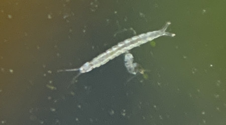 Y a de la vie là dedans ! ^^