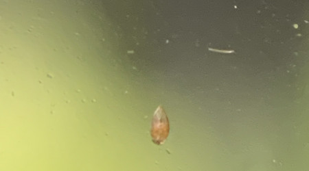 Y a de la vie là dedans ! ^^