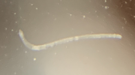 Y a de la vie là dedans ! ^^