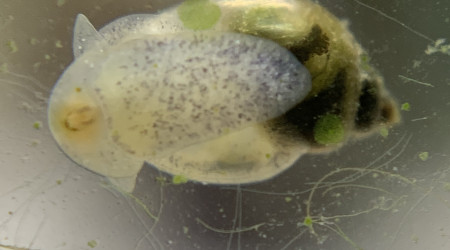 Heureuse découverte ! :)