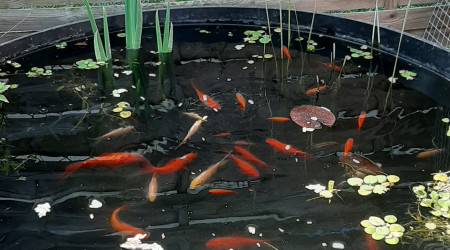 Ça se réveille doucement mais sûrement...