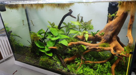 aquarium 140l indéterminé 08-19