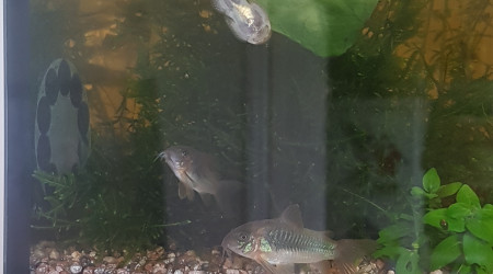 Les trois seuls à avoir un nom...