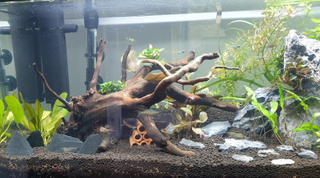 Changement de sol et sobriété?