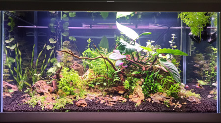 Parlons peu, mais parlons bien ! :