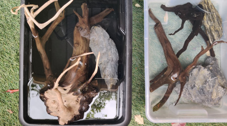 Nettoyage pierre et racine