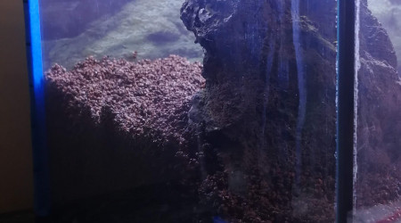 Vue de côté du relief