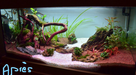 Réaménagement du bac