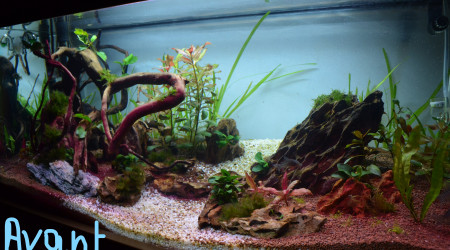 Réaménagement du bac