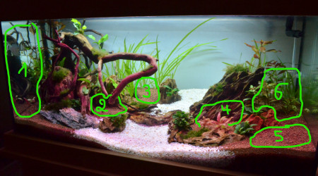 Nouveau plan de plantation