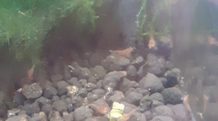 Je suis envahit (c'est faux, on ne l'est jamais)