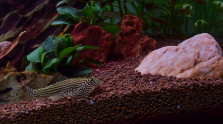 Ajout d'une pierre "lisse"