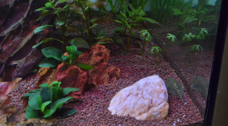 Ajout d'une pierre "lisse"