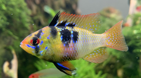 Madame prend la pose.