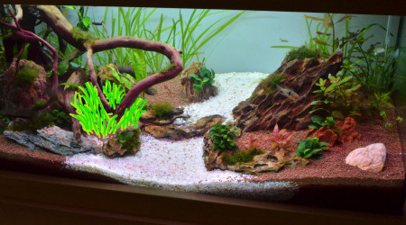 Nouveau plan quasi complet..