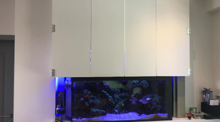 aquarium Aquarium