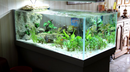 aquarium 450 litres