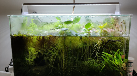 Retour de confinement