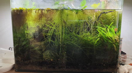 Retour de confinement