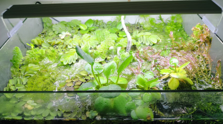 Retour de confinement