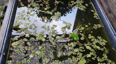 Retour de confinement