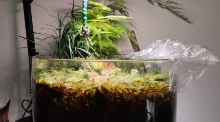 Retour de confinement