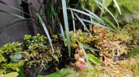 Retour de confinement