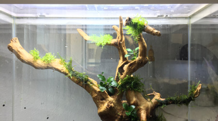 Changement de décors