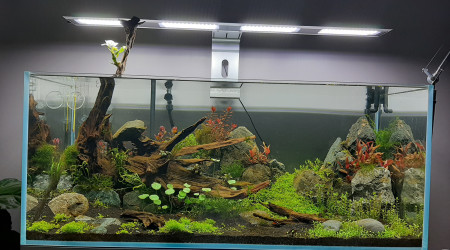 aquarium 300L