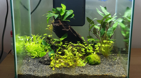 aquarium Mon premier Nano  30L