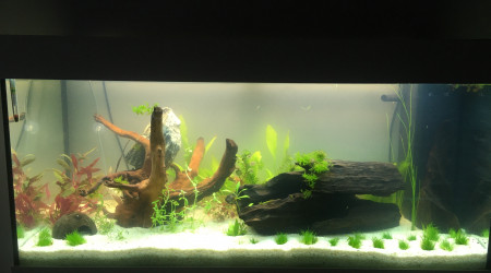 1er jour de mise en route