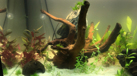 1er jour de mise en route