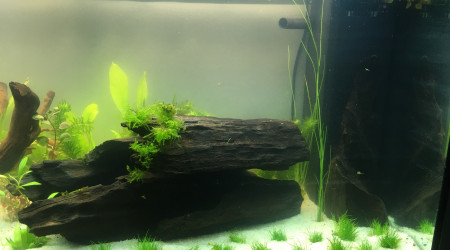 1er jour de mise en route