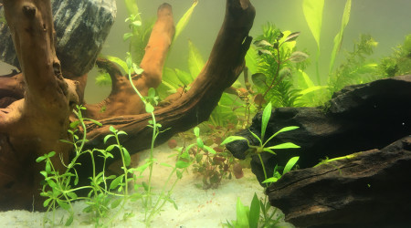 1er jour de mise en route