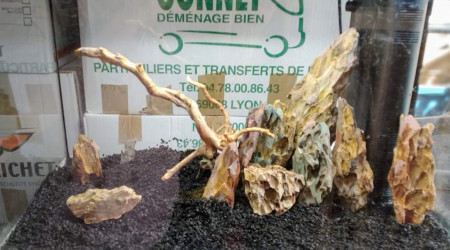 Premier essai "à sec"