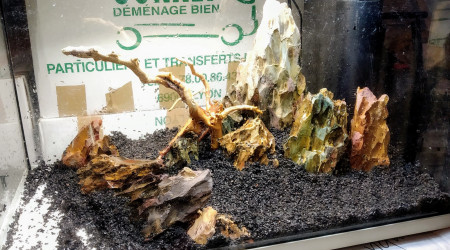 Deuxième essai "à sec"