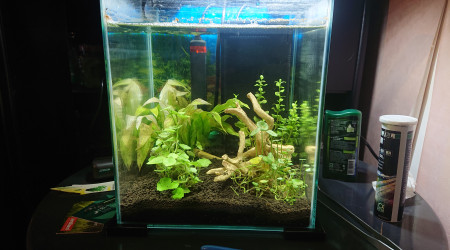 Aquarium Sarawak, noir - 10 litres