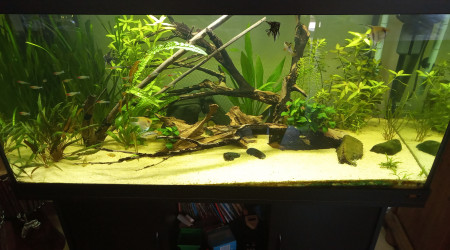 Le bac est complet !!!!! ?