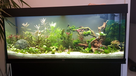 aquarium bac 2