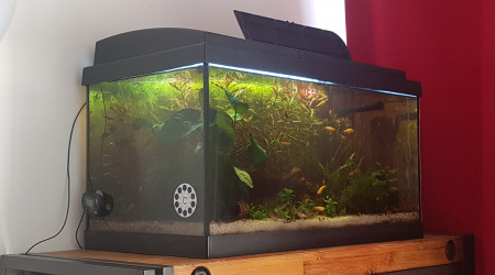 Retro LED+ Controller