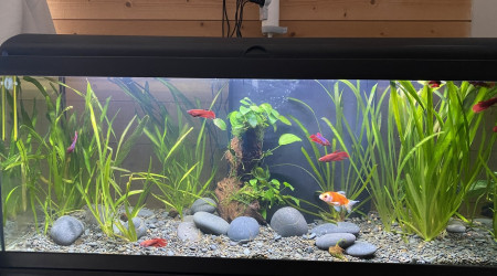 aquarium aquatlantis 150