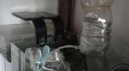 Deux heures d'acclimatation