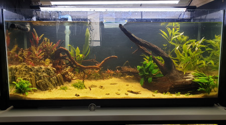 aquarium 130L