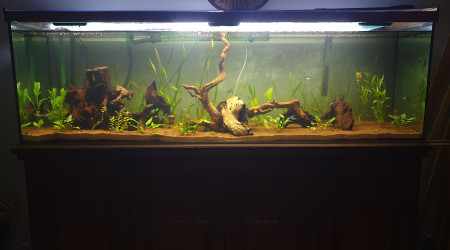 aquarium Aqua 600l