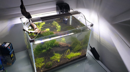 aquarium 20 L