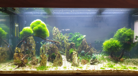 aquarium Juwel 350