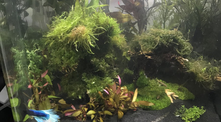 Nano 60 litres en Version II